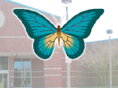   net academy